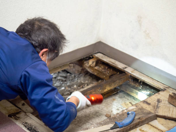Water Damage Restoration in Spring City, TN