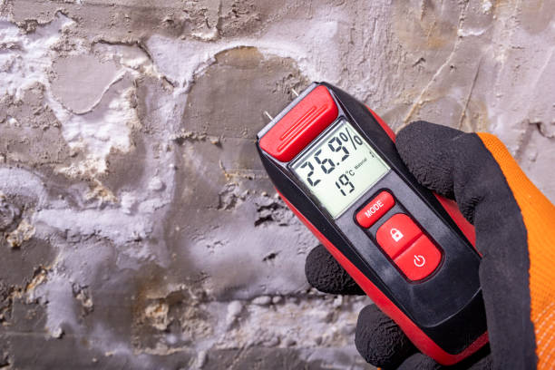 Mold Removal and Inspection in Spring City, TN